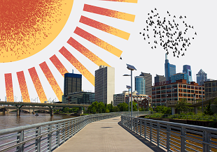 Waterfront Parks to Enjoy This Summer