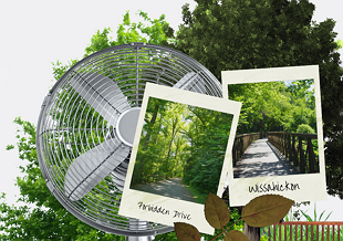 Visit These Shaded Parks to Cool Down This Weekend