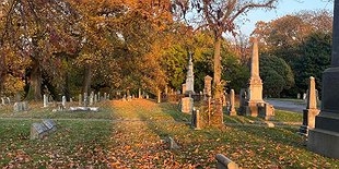 Nature at Noon! Woodlands Cemetery