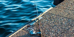 Pop-Up: Let’s Go Fishing