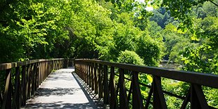 Meadow, Creeks, and Bridges with Lisa Kleiman, She