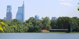 What's in the Strawberry Mansion Reservoir?