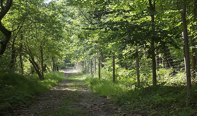 cobbs-creek-park