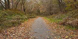 TrailOff: Deeply Routed (Tacony Creek Trail)