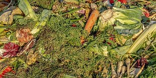 Compose Compost!
