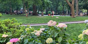 Rittenhouse Square Park